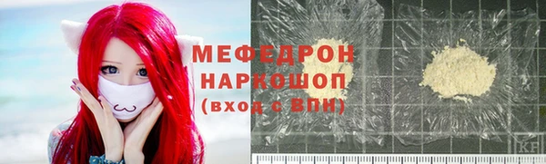 индика Кинешма