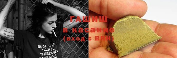 индика Кинешма