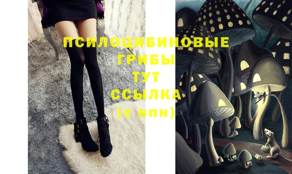 трава Касимов