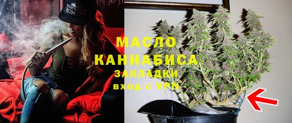 стаф Каменногорск