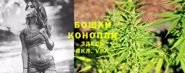 индика Кинешма