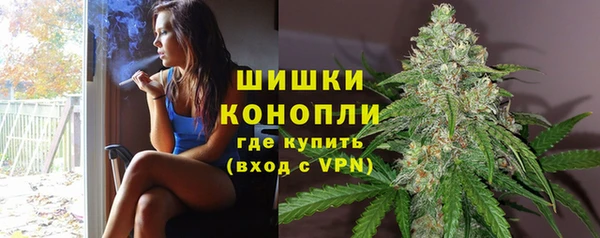 индика Кинешма