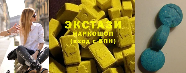индика Кинешма