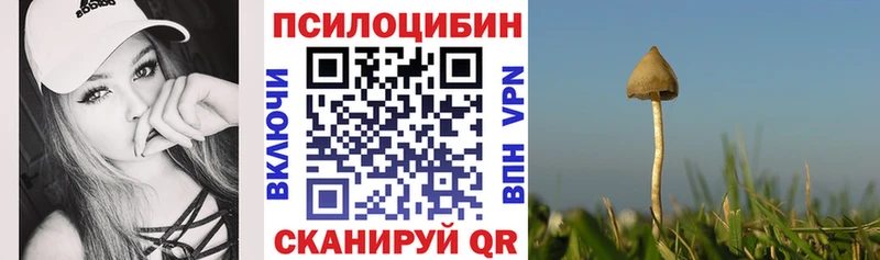 Галлюциногенные грибы Cubensis где продают Верея